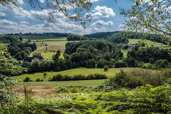 Freizeit und Umgebung Freizeit und Umgebung
